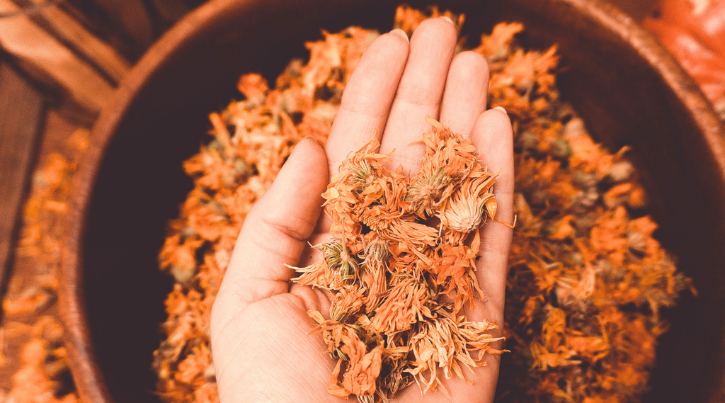 Jouw natuurlijke EHBO-kit voor op reis: wat neem je mee?