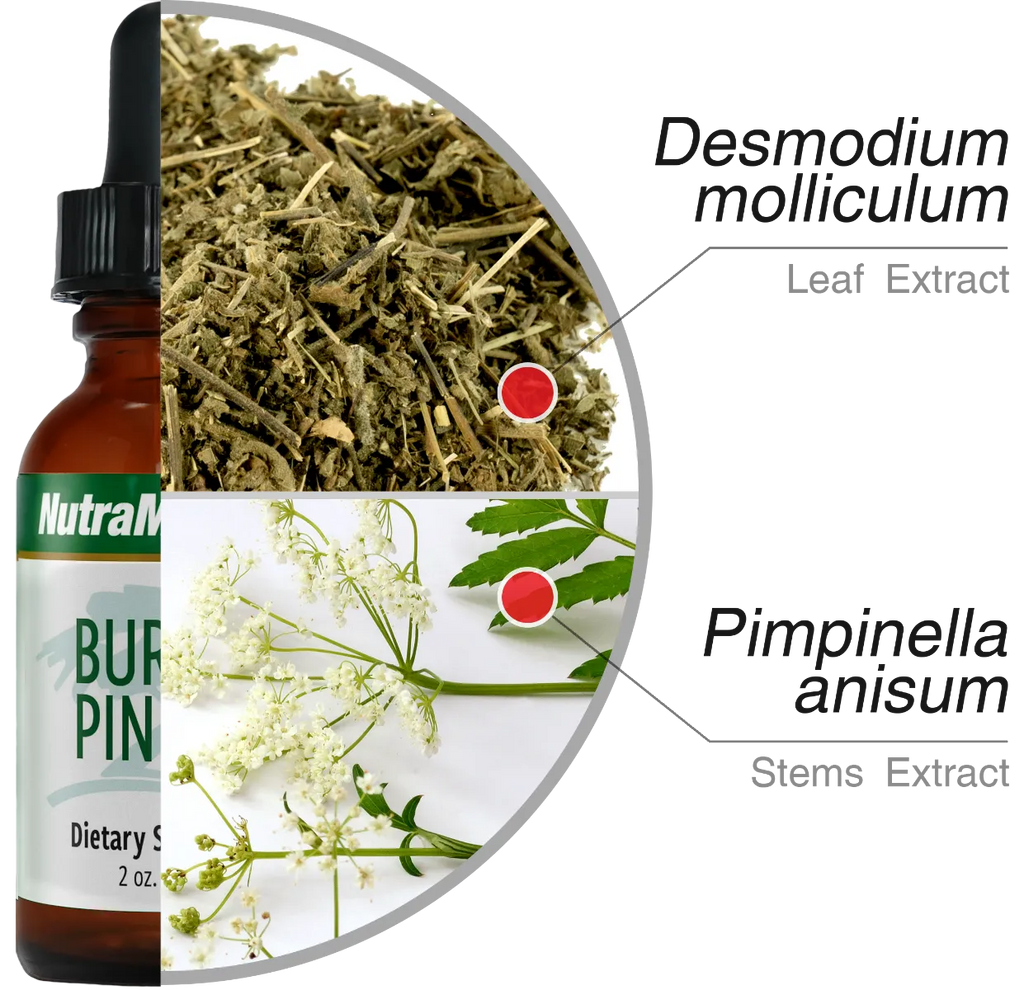 Burbur-Pinella Nutramedix Ingrediënten - Green Vitality 