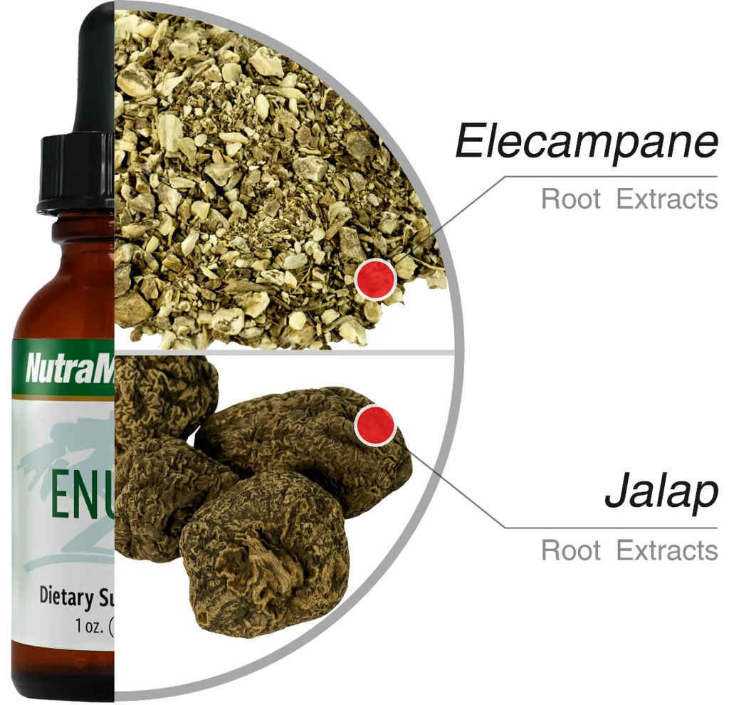 Enula Nutramedix ingrediënten - Green Vitality 