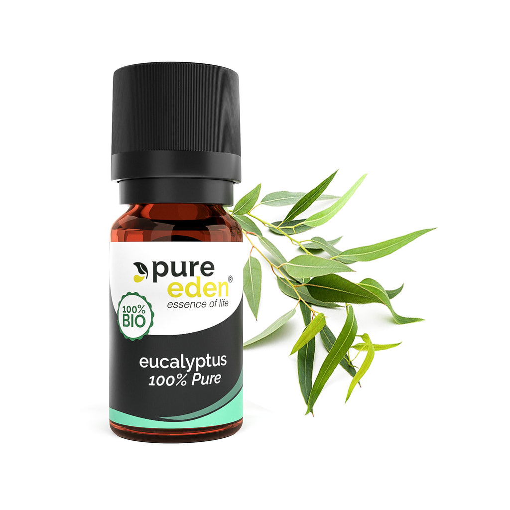 Eucalyptus Etherische Olie Biologisch | 10 ML | Pure Eden - Green Vitality