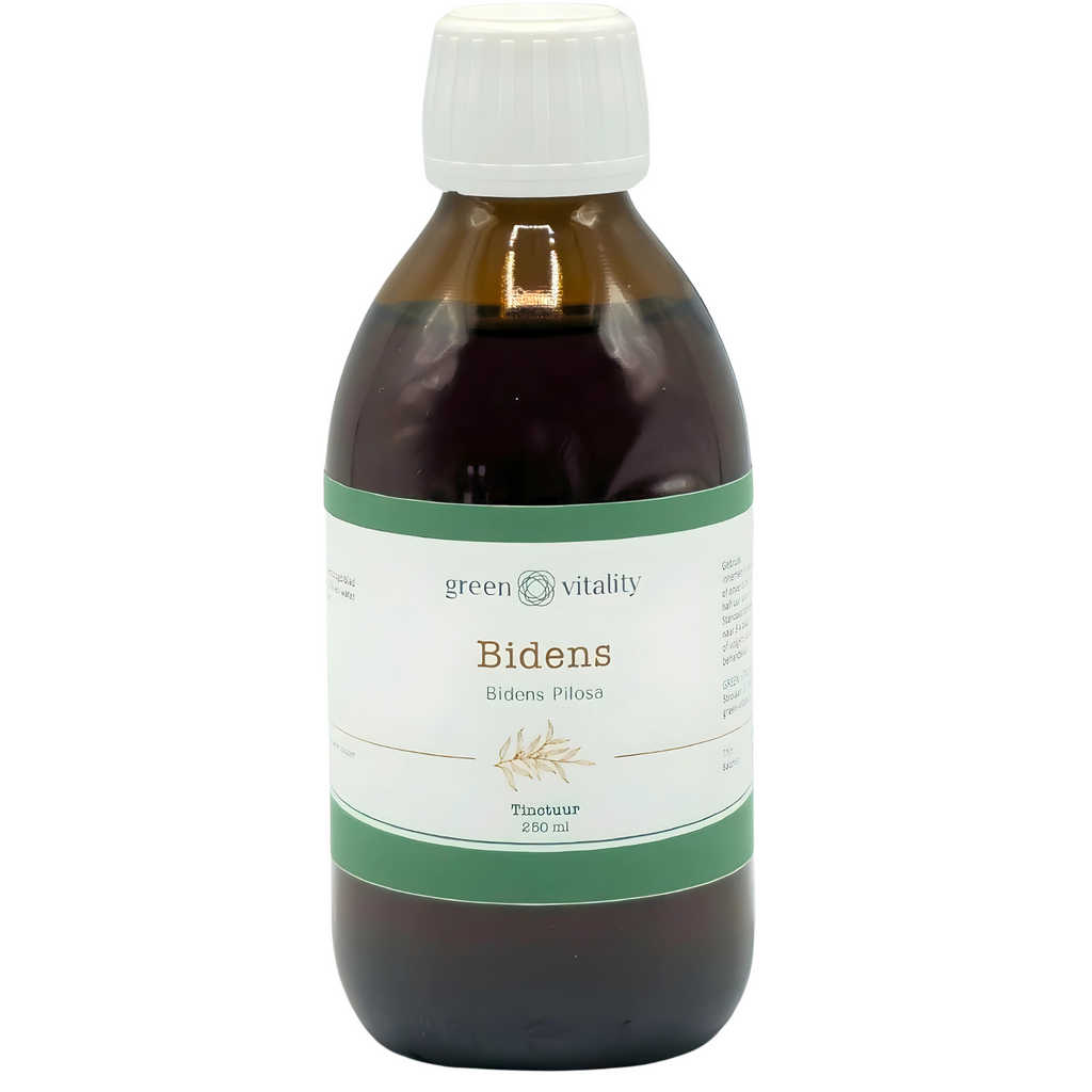 Green Vitality Bidens piliosa tinctuur Kaardeshop 250ml