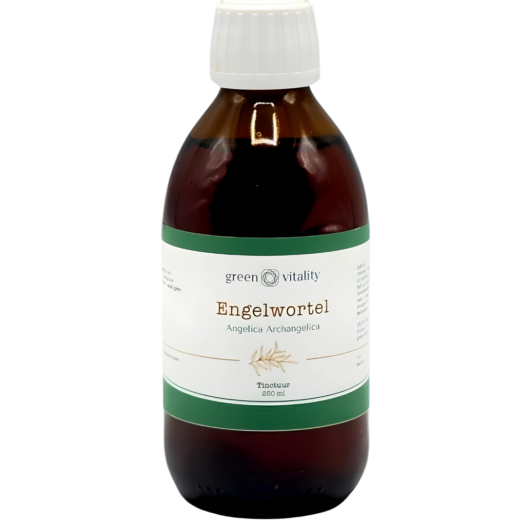 Green Vitality Engelwortel tinctuur Kaardeshop 250ml