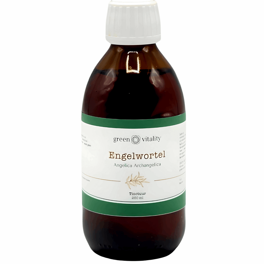 Green Vitality Engelwortel tinctuur Kaardeshop 250ml