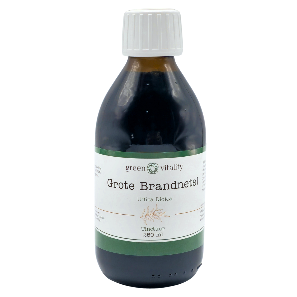 Grote Brandnetel