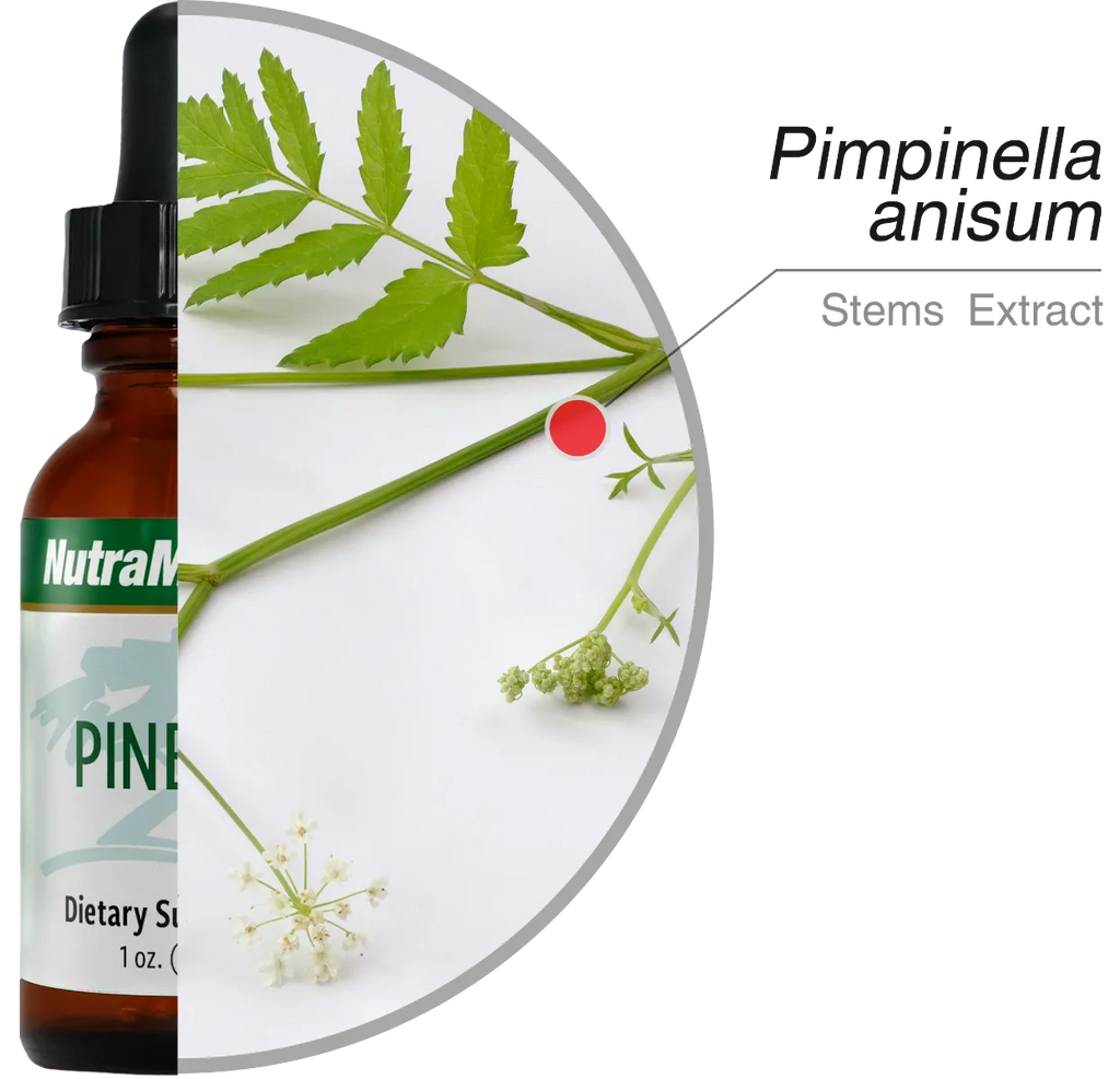 Pinella Nutramedix (nerve brain cleanse) Kaardeshop ingrediënten