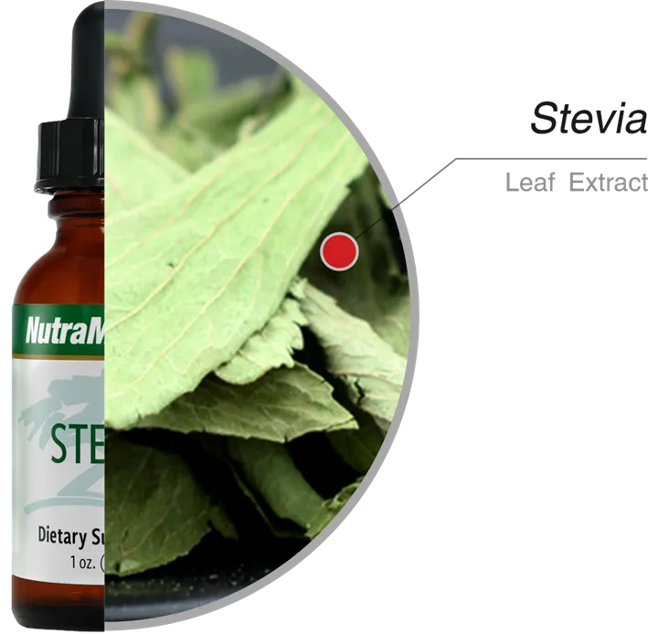 Green Vitality Stevia Nutramedix Kaardeshop ingrediënten